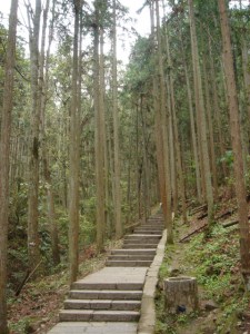 Devenir coach_christelechauchereau