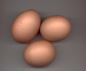 OSER_christelechauchereau