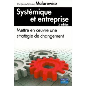 Systemique_et_ entreprise_christelechauchereau