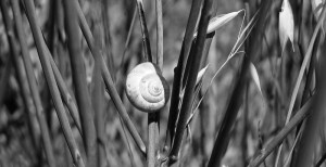 Coaching_hygiene_de_vie_christelechauchereau