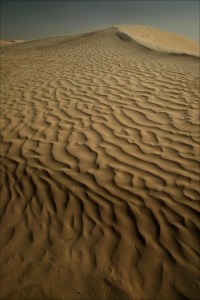 Journée_désert_christèle_perrot