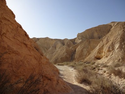 Desert_Neguev_christele_perrot