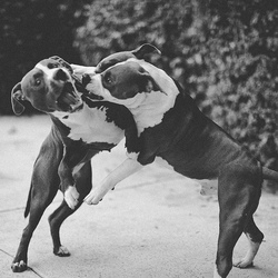 repenser notre relation au monde